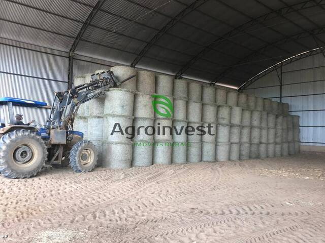 Fazenda para Venda em Monte Alegre do Piauí - 5