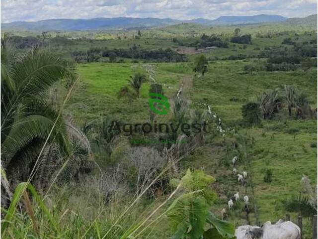 #201 - Fazenda para Venda em Ourilândia do Norte - PA - 2