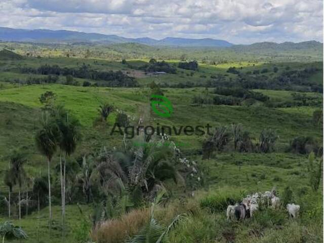 #201 - Fazenda para Venda em Ourilândia do Norte - PA - 3
