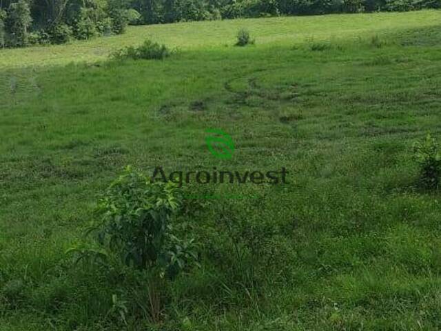 #201 - Fazenda para Venda em Ourilândia do Norte - PA - 1