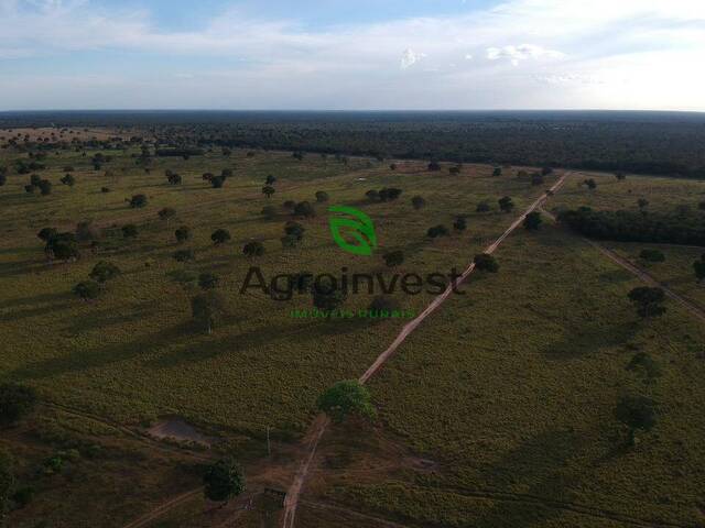 #266 - Fazenda para Venda em Ribeirão Cascalheira - MT