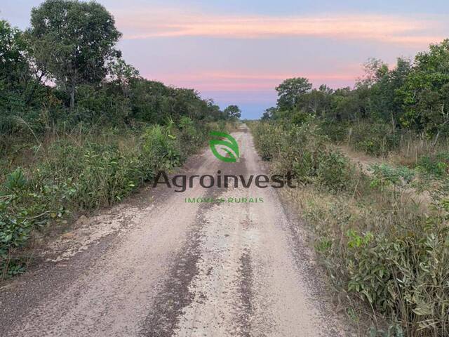 #266 - Fazenda para Venda em Ribeirão Cascalheira - MT