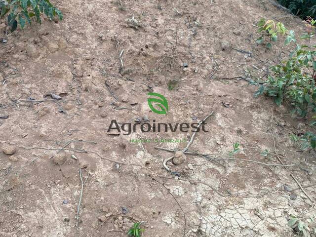 Fazenda para Venda em Ribeirão Cascalheira - 4