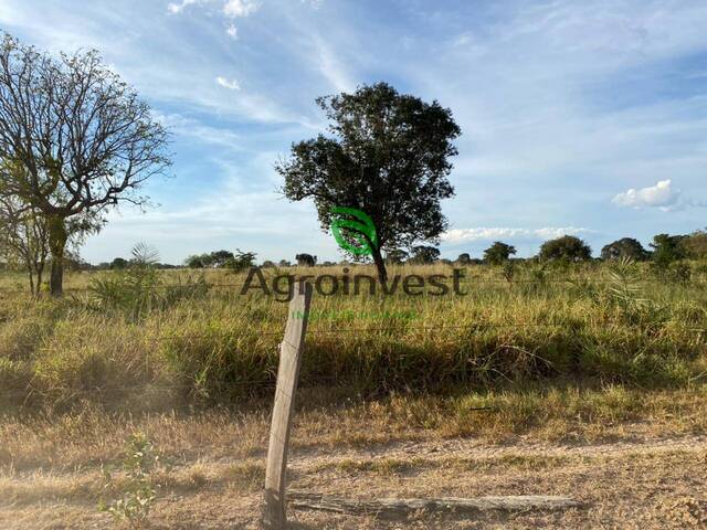 Fazenda para Venda em Ribeirão Cascalheira - 5