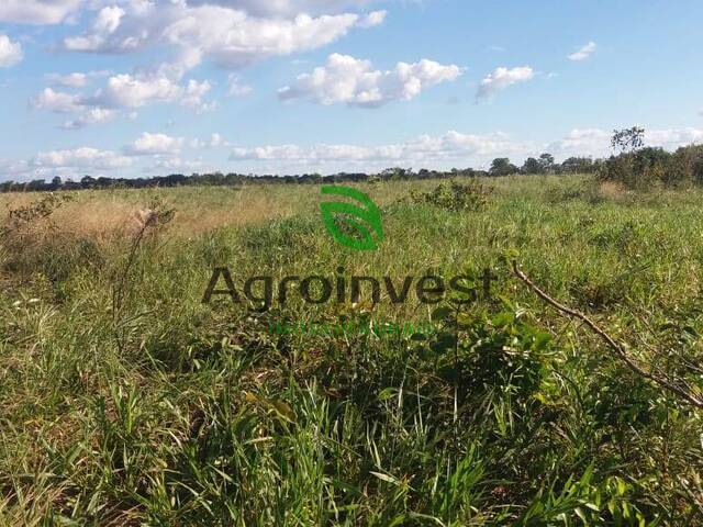 Fazenda para Venda em Barra do Ouro - 4