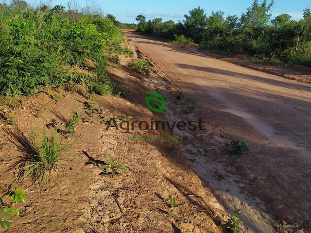 Fazenda para Venda em Barra do Ouro - 5