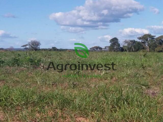 Fazenda para Venda em Barra do Ouro - 3