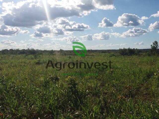Fazenda para Venda em Barra do Ouro - 2