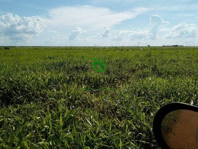 Fazenda para Venda em Acreúna - 4