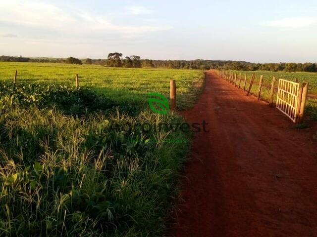 #394 - Fazenda para Venda em Acreúna - GO
