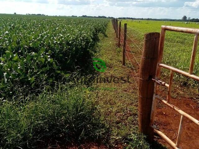 #394 - Fazenda para Venda em Acreúna - GO