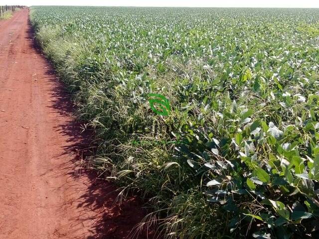 Fazenda para Venda em Acreúna - 5