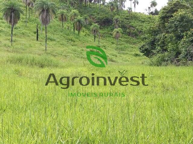 Fazenda para Venda em Palmeirópolis - 4