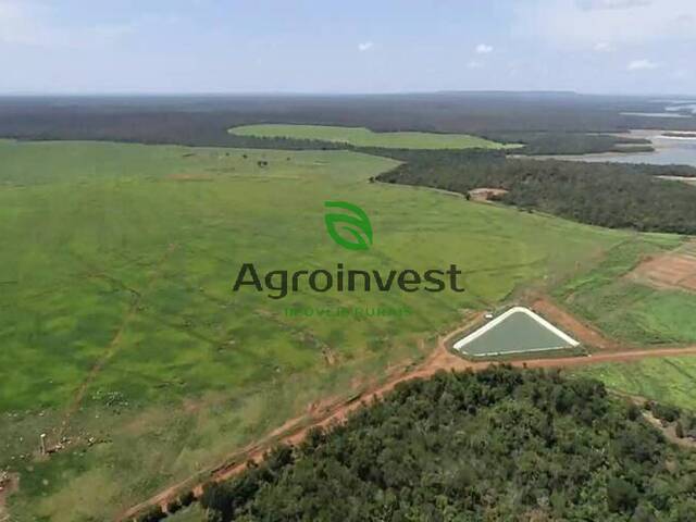 #552 - Fazenda para Venda em Guadalupe - PI