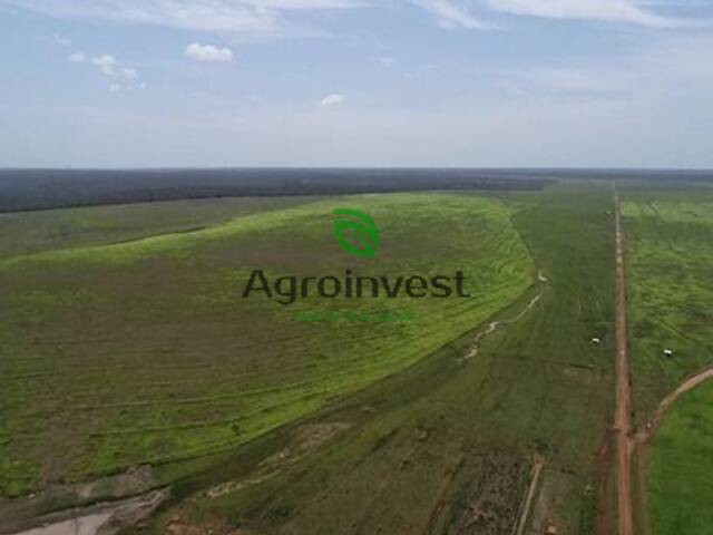 #552 - Fazenda para Venda em Guadalupe - PI