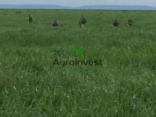 Fazenda para Venda em Guadalupe - 5