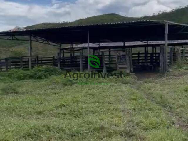 #609 - Fazenda para Venda em Mimoso de Goiás - GO