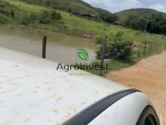 Fazenda para Venda em Mimoso de Goiás - 5