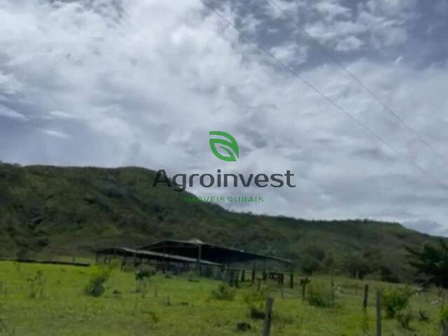 #609 - Fazenda para Venda em Mimoso de Goiás - GO