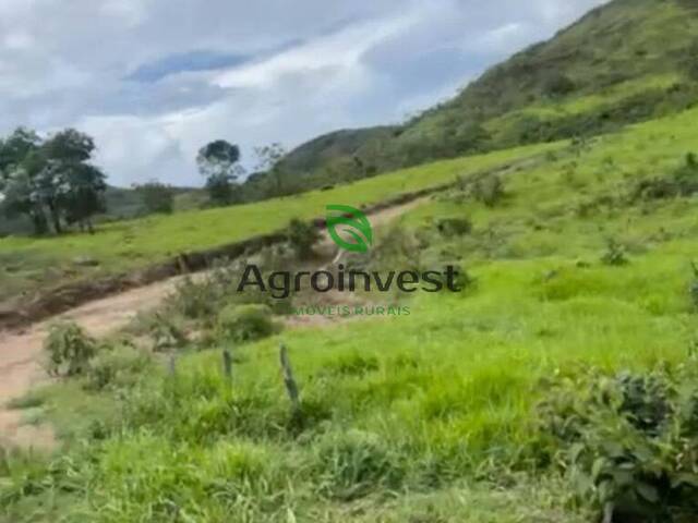 #609 - Fazenda para Venda em Mimoso de Goiás - GO