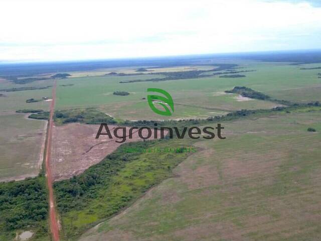 Fazenda para Venda em Confresa - 3