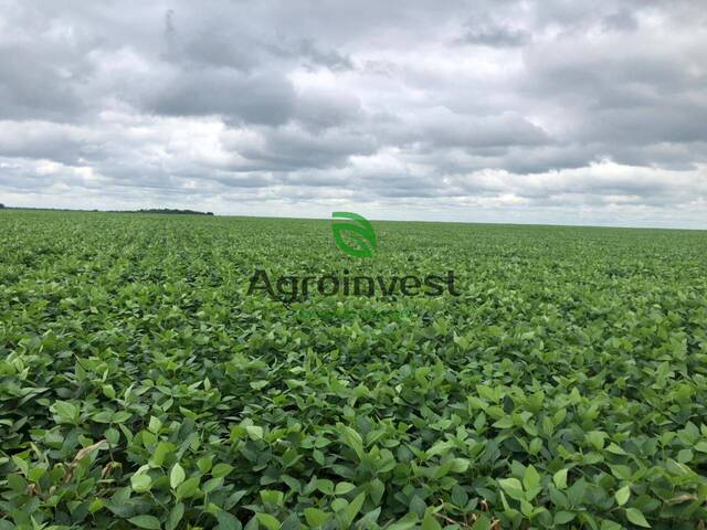 Fazenda para Venda em Confresa - 2