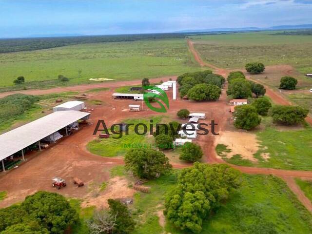 Fazenda para Venda em Confresa - 5