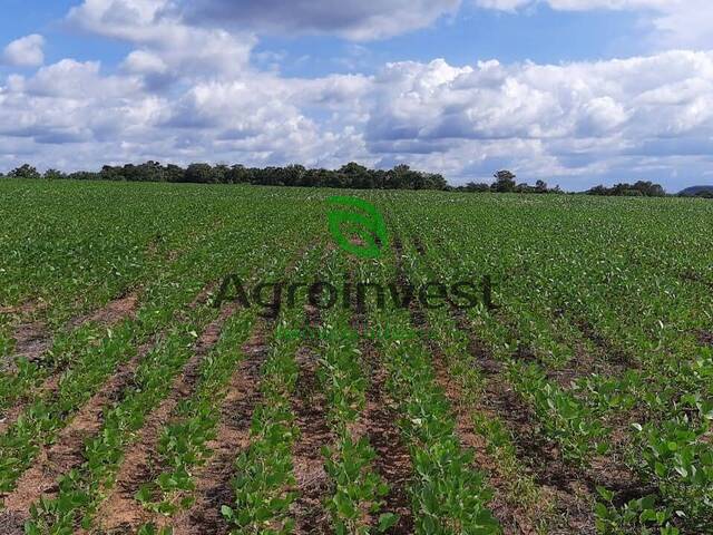 #641 - Fazenda para Venda em Barra do Ouro - TO - 3