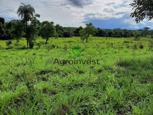 Fazenda para Venda em Formoso - 4