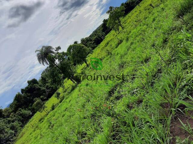 Fazenda para Venda em Formoso - 2