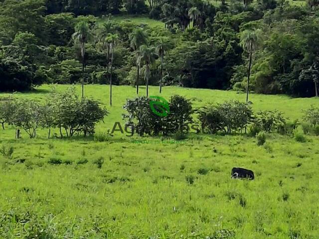 Fazenda para Venda em Formoso - 5
