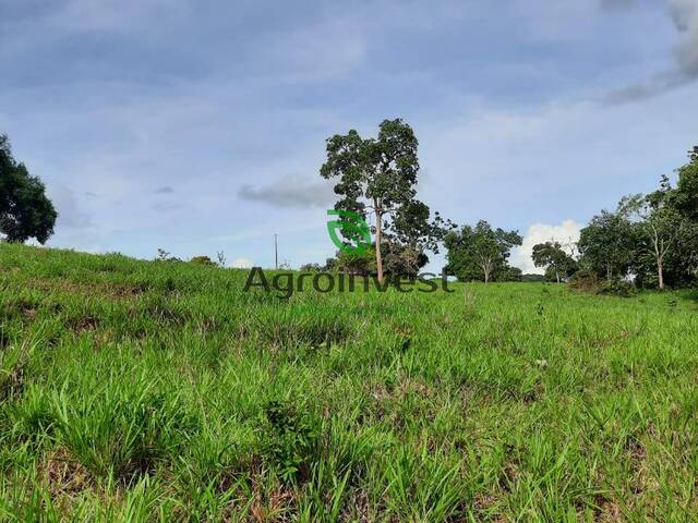 Fazenda para Venda em Formoso - 3