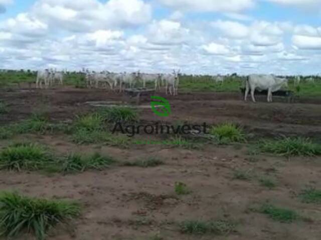 Fazenda para Venda em Santana do Araguaia - 2