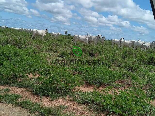 Fazenda para Venda em Santana do Araguaia - 4