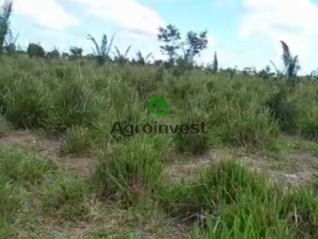 Fazenda para Venda em Santana do Araguaia - 5