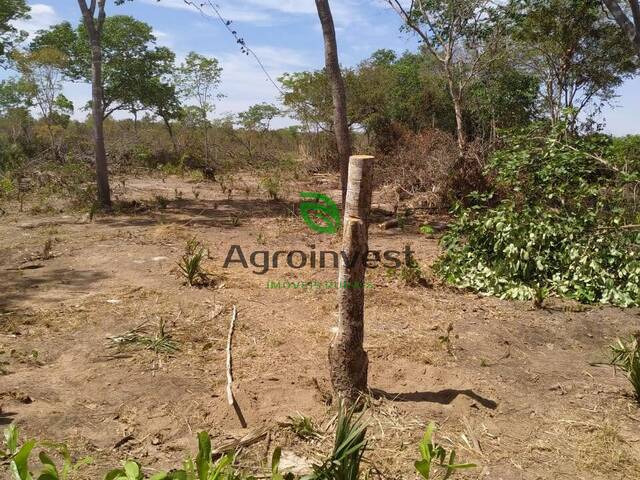 #721 - Fazenda para Venda em Gilbués - PI - 1