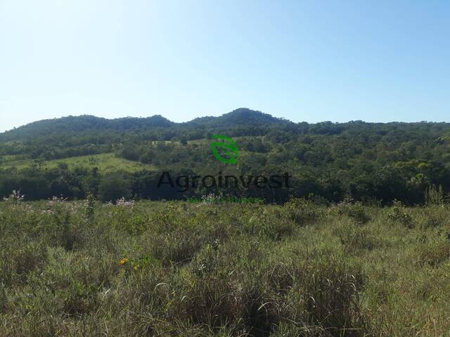 Fazenda para Venda em Palestina de Goiás - 4