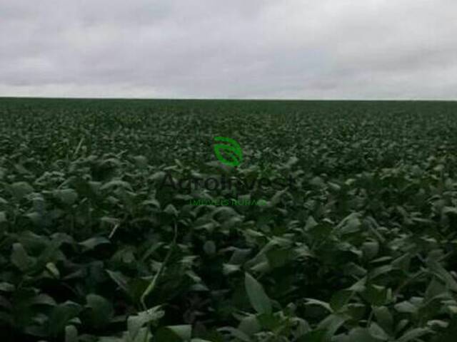 #732 - Fazenda para Venda em Araguaína - TO - 3