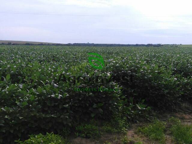 Fazenda para Venda em Araguaína - 4
