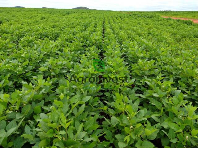 #746 - Fazenda para Venda em Goiatins - TO - 2
