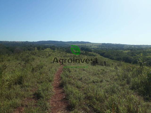 Fazenda para Venda em Palestina de Goiás - 4