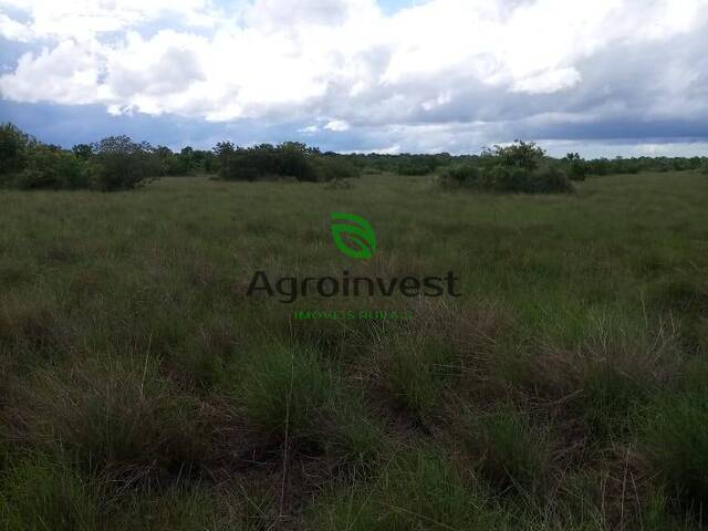 Venda em Zona Rural - Água Boa