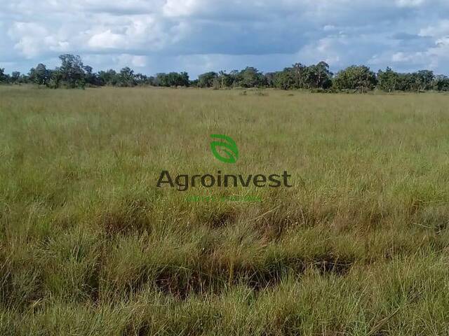 Fazenda para Venda em Água Boa - 3