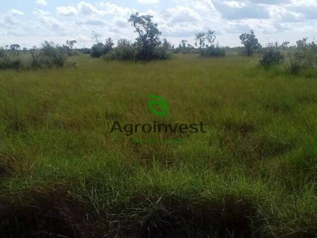 Fazenda para Venda em Água Boa - 5