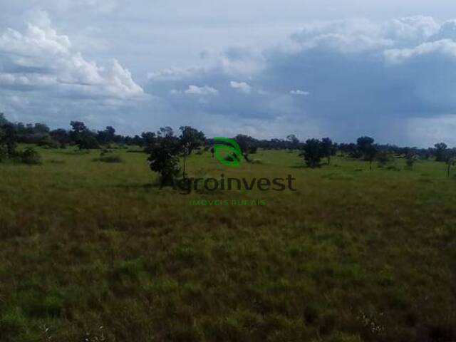 Fazenda para Venda em Água Boa - 4