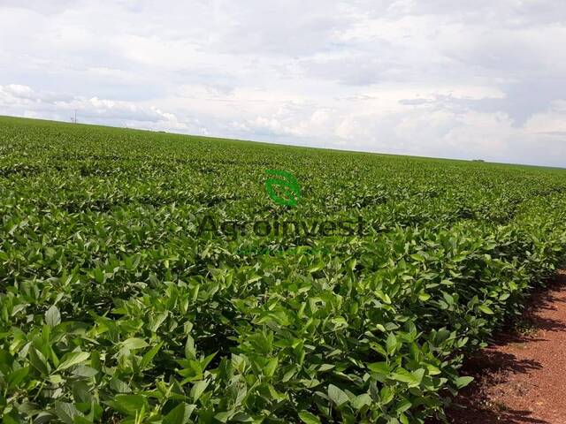 #779 - Fazenda para Venda em Balsas - MA