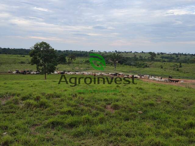 Fazenda para Venda em Brejo Grande do Araguaia - 3