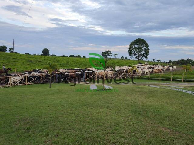 Fazenda para Venda em Brejo Grande do Araguaia - 5