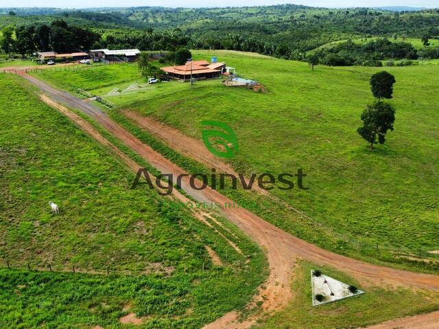 Fazenda para Venda em Brejo Grande do Araguaia - 4