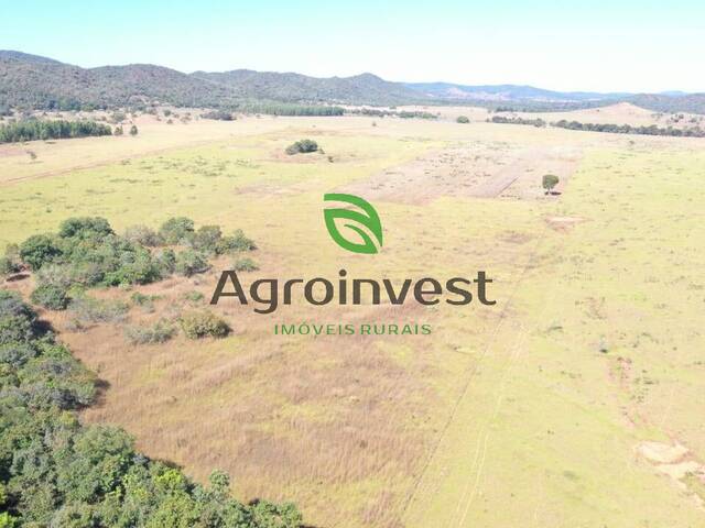 Fazenda para Venda em Campinorte - 4